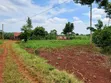 113ft x 160ft Plot for Sale in Kabowa-Kampala, Jinja City - 5