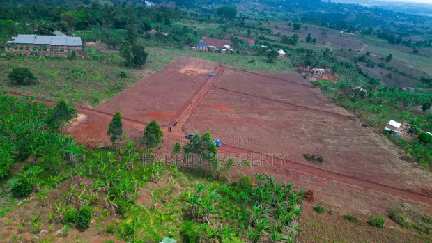 Prime Plots for Sale at Bulondo~Mabombwe, Hoima Road - 1