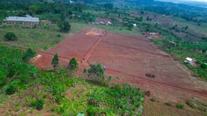 Prime Plots for Sale at Bulondo~Mabombwe, Hoima Road