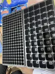 Brand New Seeding Trays - 1