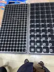 Brand New Seeding Trays - 2