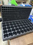 Brand New Seeding Trays - 3