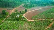 Prime Plots for Sale at Gobero~Muguluka Nature Land Estate, Hoima Road - 2