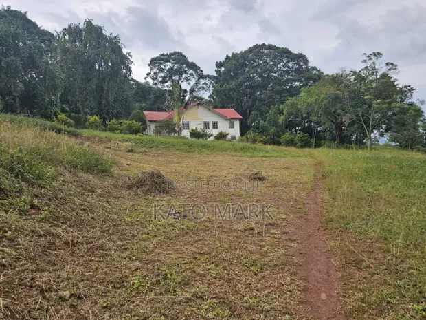 31 Acres Land for Sale in Mukono Katente - 1