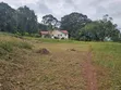 31 Acres Land for Sale in Mukono Katente - 1