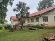 31 Acres Land for Sale in Mukono Katente - 2