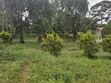 31 Acres Land for Sale in Mukono Katente - 5