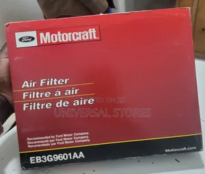 Genuine Motorcraft EB3G9601AA Engine Air Filter