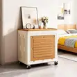95L Plastic Storage Cabinet with Wheels, Stackable - 4