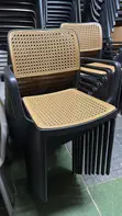 Rattan Plastic Chair - 2