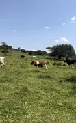 116 Acres Freehold Land for Sale Off Mbarara-Ibanda Rd - 1