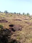 116 Acres Freehold Land for Sale Off Mbarara-Ibanda Rd - 2