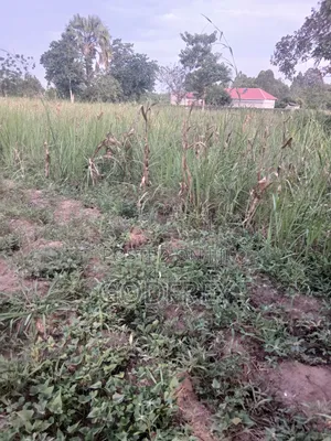 Residential Plots for Sale in Soroti City