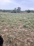 13 Acre Land for Sale in Soroti - 2