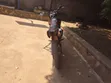 Honda Motocross 2005 - 5