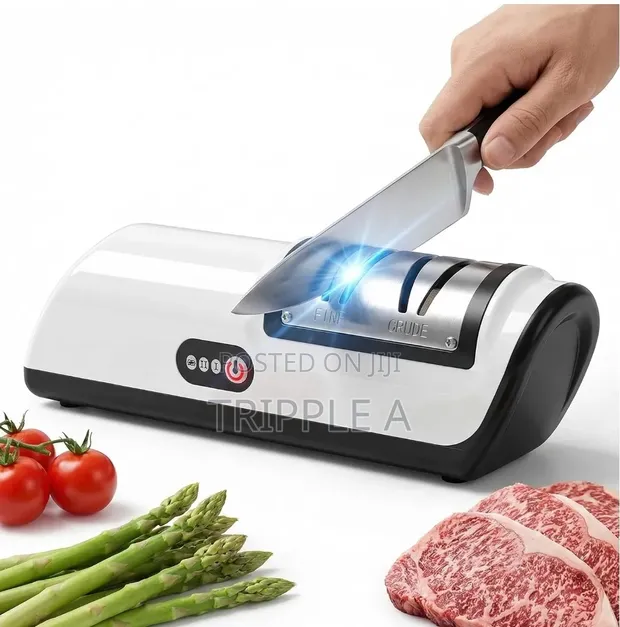 Professional Electric Knife Sharpener - 1