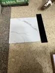 Crown Crane 50x50 Floor Tiles - 1