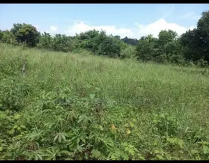 Land for Sale in Mukono, Goma Division