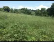 Land for Sale in Mukono, Goma Division - 1