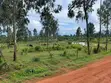 Land for Sale in Luweero District, Bamunanika - 2