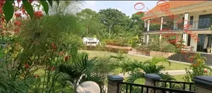 Compound Designing & Landscaping Services