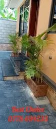 Compound Designing & Landscaping Services - 3