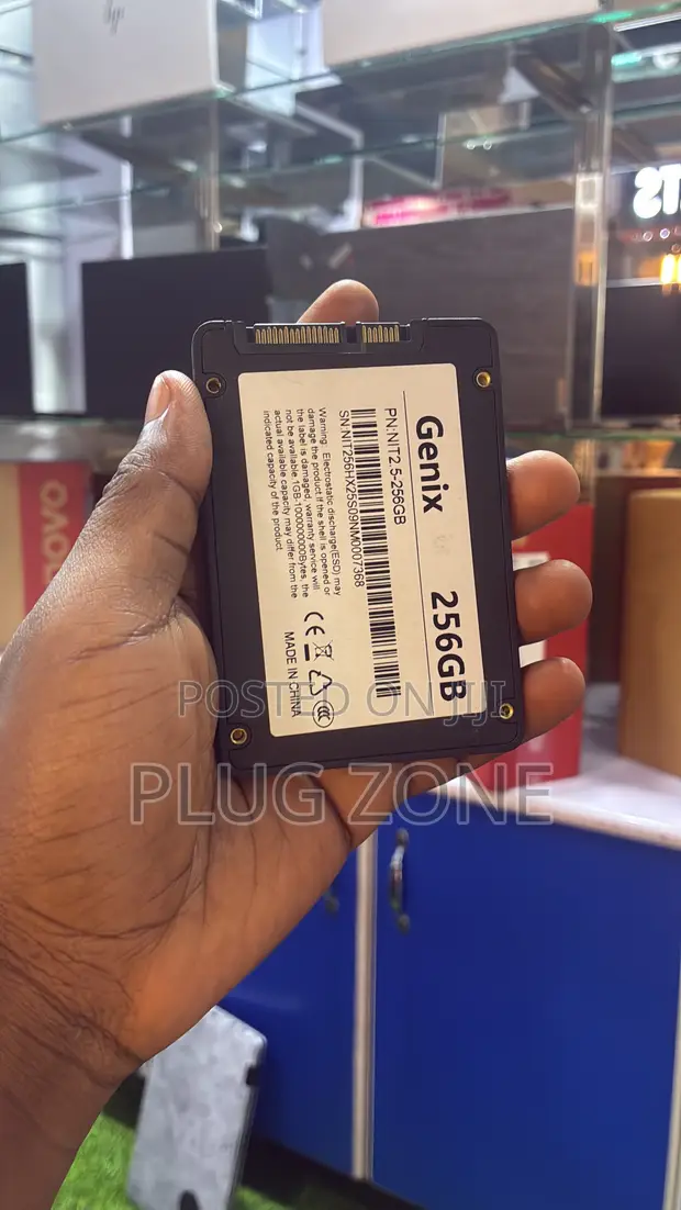 Genix 256GB SSD - 1
