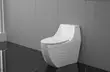 Executive Toilets - Brand New - 2