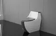 Executive Toilets - Brand New - 3