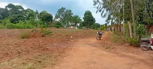 80x100 Ft & 50x100 Ft Plots for Sale on Kafunta-Nyenga Highway, Njeru