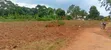80x100 Ft & 50x100 Ft Plots for Sale on Kafunta-Nyenga Highway, Njeru - 2