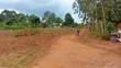 80x100 Ft & 50x100 Ft Plots for Sale on Kafunta-Nyenga Highway, Njeru - 3