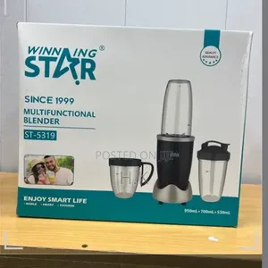 Winning Star ST-5319 Multifunctional Blender