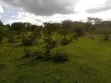 Farmland for Sale in Rwetamu, Kiruhura District - 1