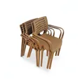 Globe Plastic Garden Chairs (Black) - 2