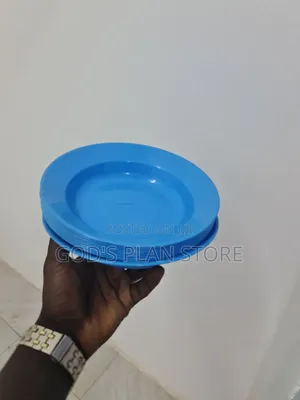 Occasions Reusable Plastic Plates (120pcs)