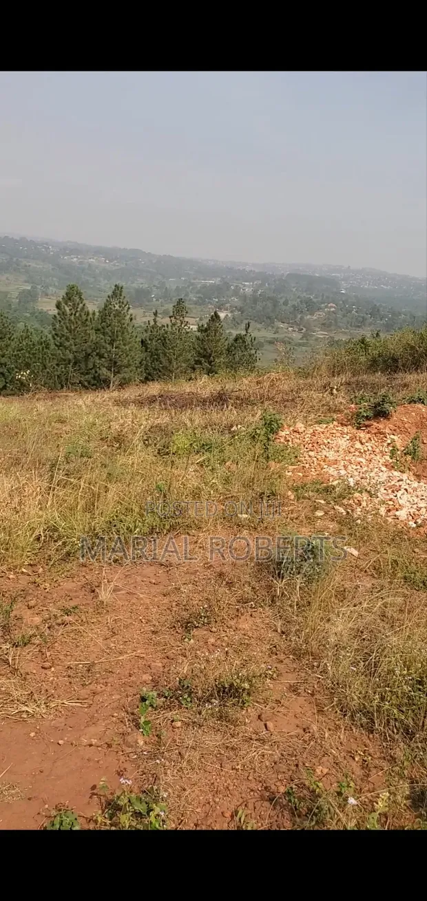 Titled Plot for Sale on Ugachick Hill - 1