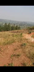 Titled Plot for Sale on Ugachick Hill - 1