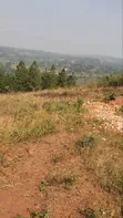 Titled Plot for Sale on Ugachick Hill - 3