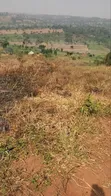Titled Plot for Sale on Ugachick Hill - 4