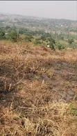 Titled Plot for Sale on Ugachick Hill - 5