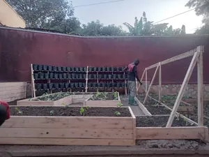 Urban Farming Solutions by AgroMet Farm Services