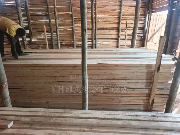 Cyprus Timber - 1