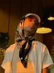 Classic Scarves - Silk, Unisex, Brand New - 4