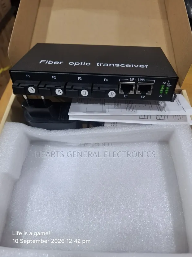 Netlink 4-Port Fiber Media Converter Switch - 1