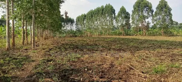 6 Acres of Mixed-Use Land for Sale in Maanyi - 1