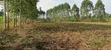 6 Acres of Mixed-Use Land for Sale in Maanyi - 1