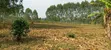 6 Acres of Mixed-Use Land for Sale in Maanyi - 2