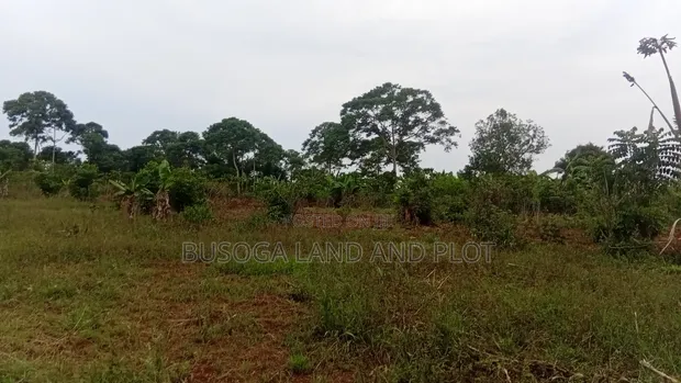 2 Acres Prime Farmland, Wesunire, Buyende - 1