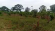 2 Acres Prime Farmland, Wesunire, Buyende - 3